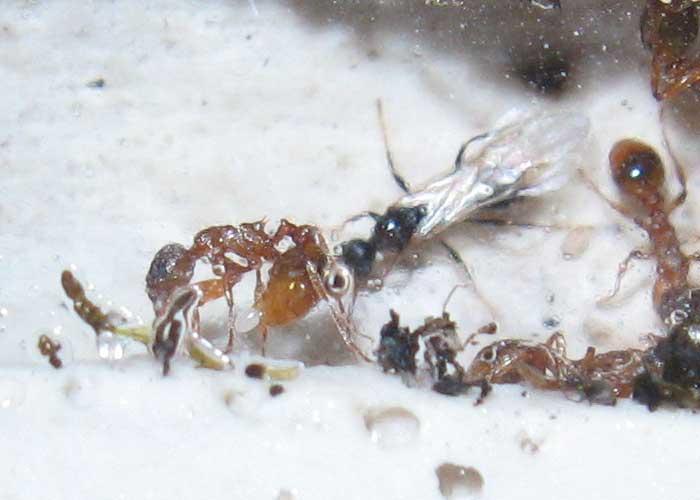  фото by Горыныч